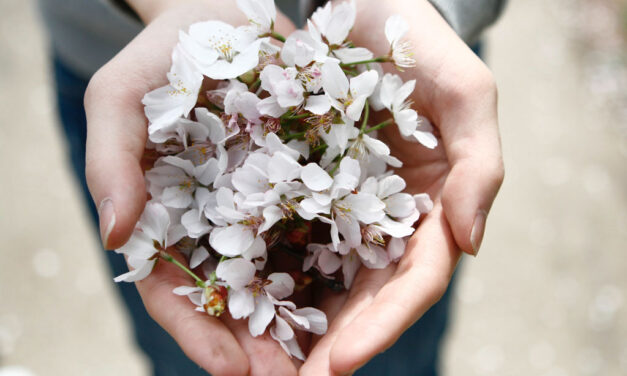 The Power of Feeling Sensitive