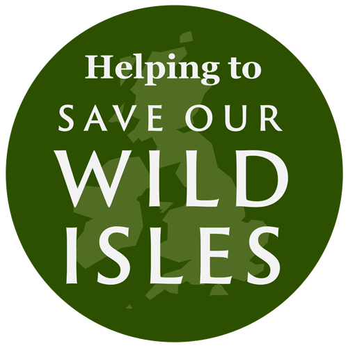 Helping to Save Our Wild Isles: The Kithkin