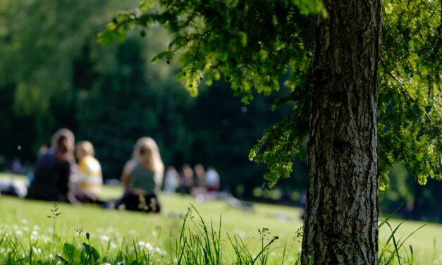 30 Days Wild: Coming Together for a Nature-Inspired Month