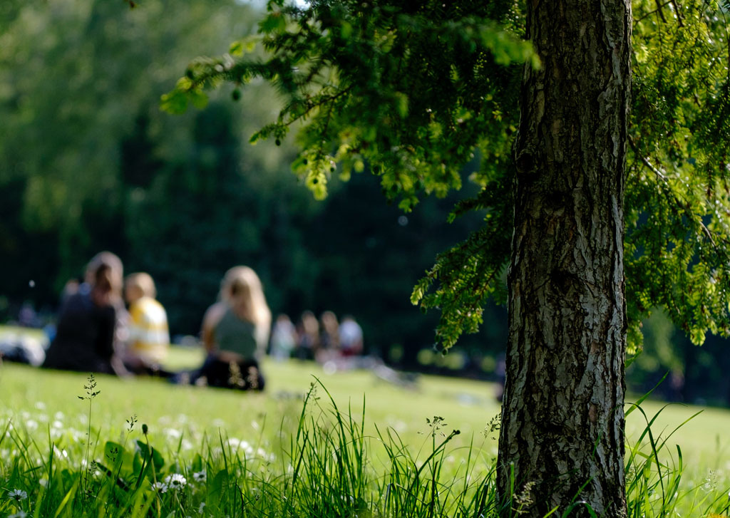 Picnic in the park, 30 Days Wild