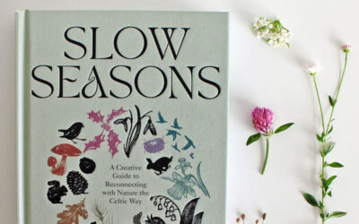 Slow Seasons: Create a Seasonal Memory Bank