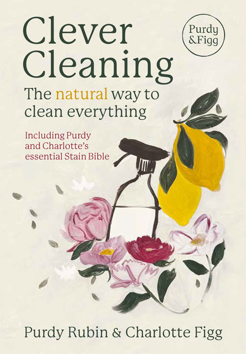 Clever Cleaning book cover image