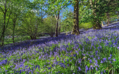 Coming Up: What’s on in April