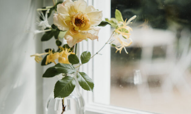 Q&A: Carolyn Dunster – Botanical Stylist and Author