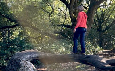 Move Well For Life: 10 Everyday Movement Swaps