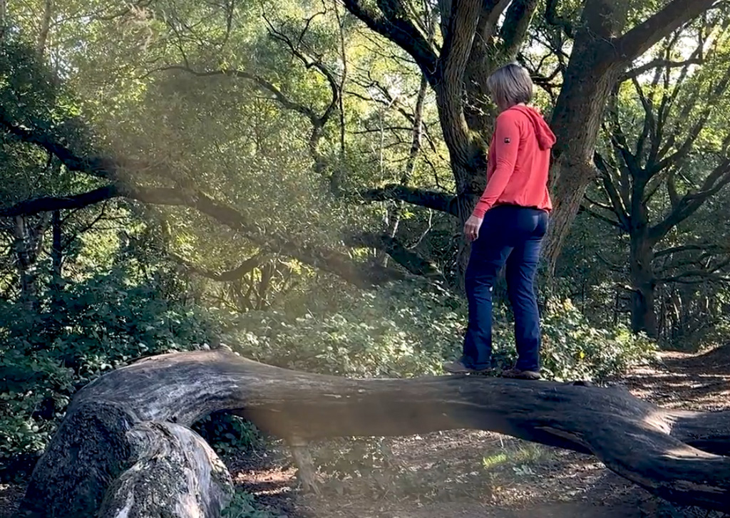 Reclaim Movement Wendy Welpton